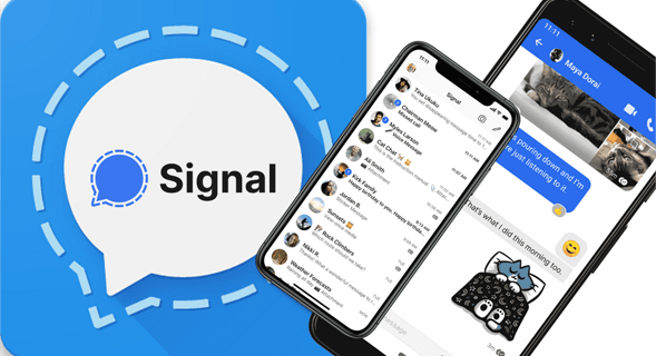 سگنل پیغامات کا بیک اپ کیسے لیں۔