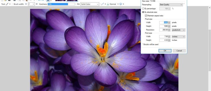 Kuidas Paint.NET-iga olemasoleva pildi eraldusvõimet suurendada
